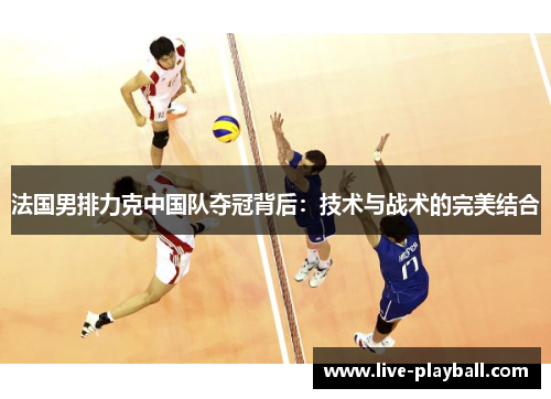 法国男排力克中国队夺冠背后：技术与战术的完美结合